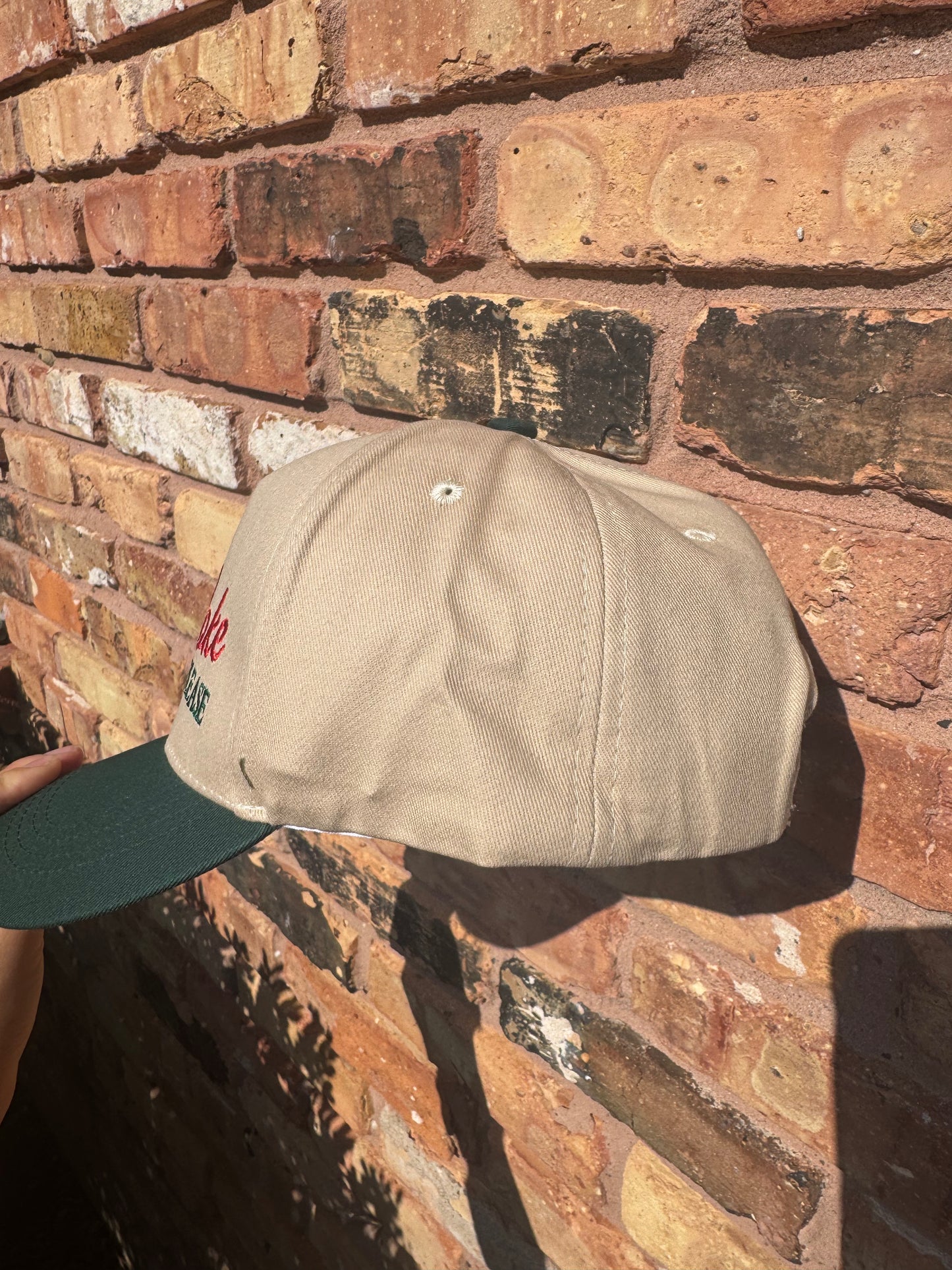 “Order Me A Diet Coke Please” Embroidered Hat